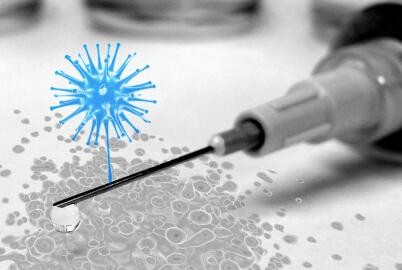 赴日旅游要小心！日本麻疹疫情蔓延，高达222人确诊