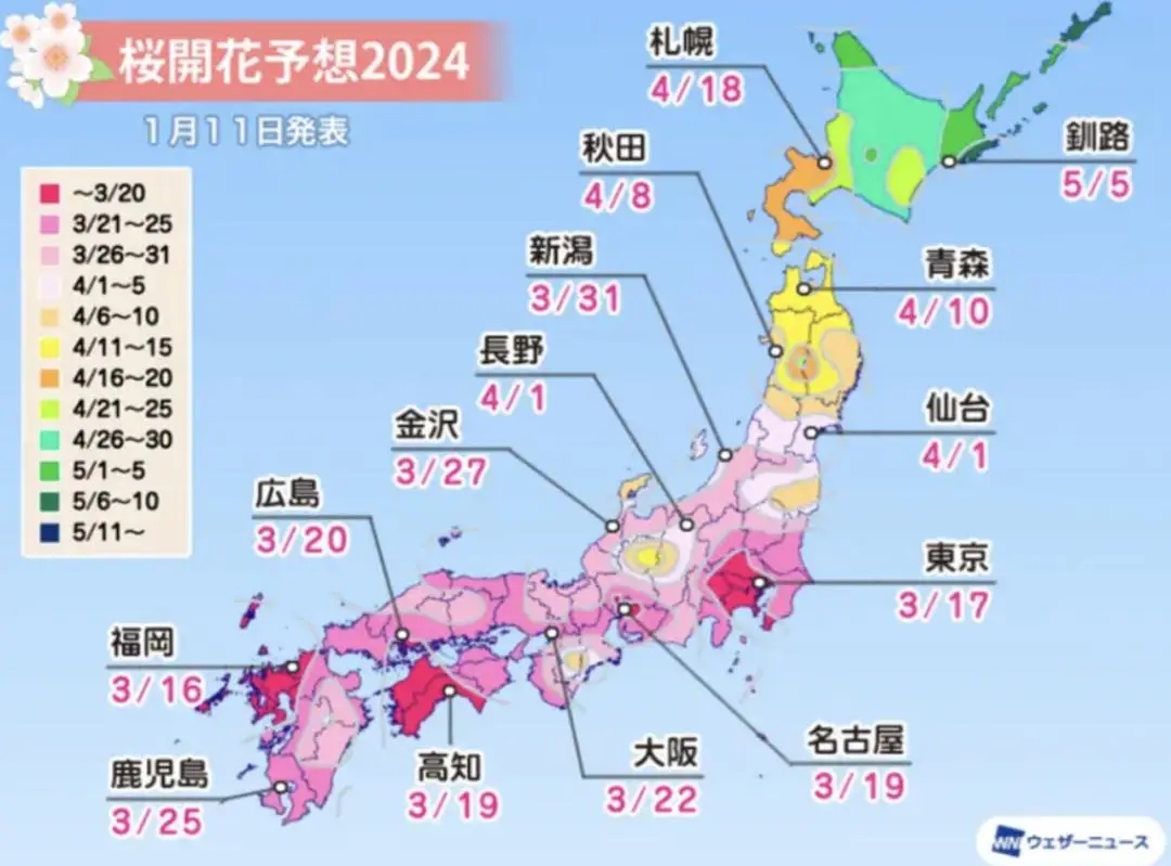 2024年日本樱花季节是几月份